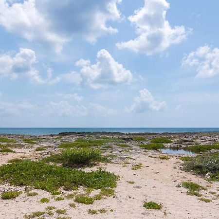 Ground Level Garden Condo At Akumal South By Tao Santamar Exterior photo